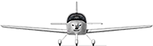 PLANE copy