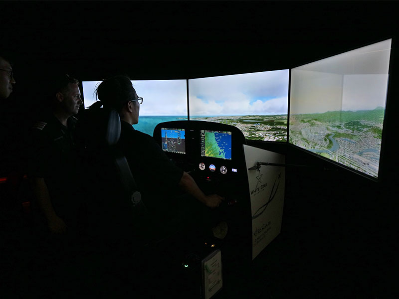 Sim Training Pilot Training